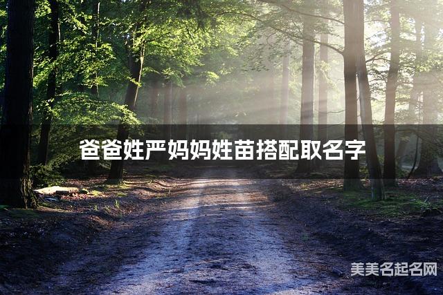 爸爸姓严妈妈姓苗搭配取名字