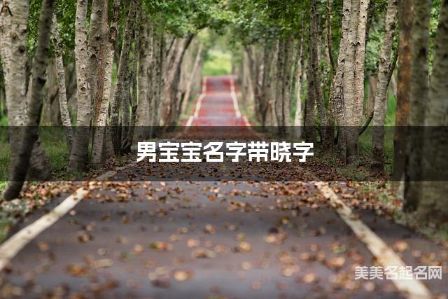 男宝宝名字带晓字 独特新颖的男孩名字 男宝宝名字带晓字 独特新颖的男孩名字
