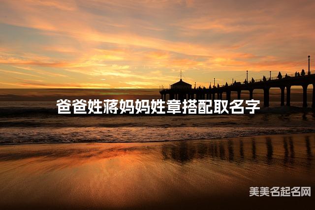 爸爸姓蒋妈妈姓章搭配取名字