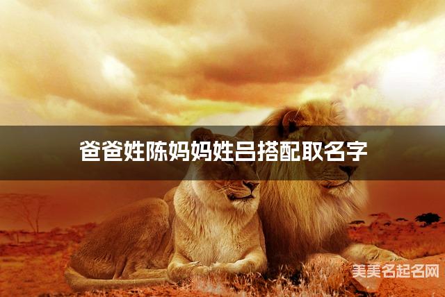 爸爸姓陈妈妈姓吕搭配取名字