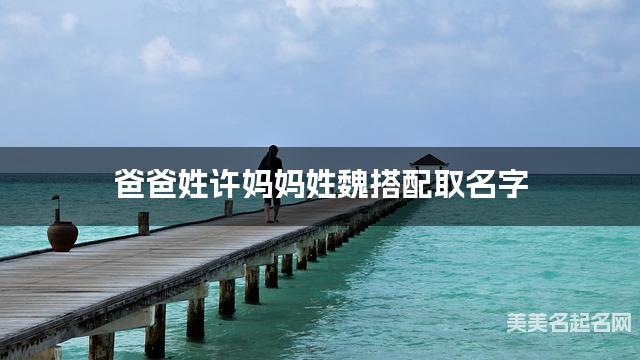 爸爸姓许妈妈姓魏搭配取名字