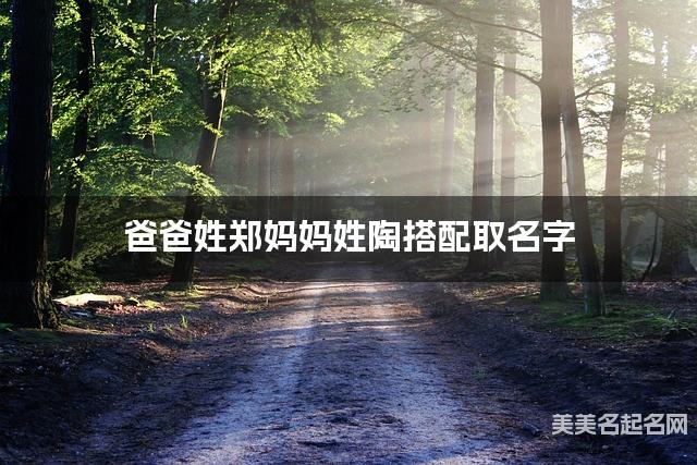 爸爸姓郑妈妈姓陶搭配取名字