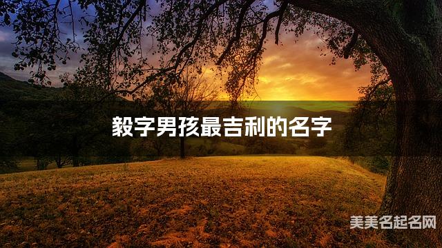 毅字男孩最吉利的名字 带毅字男宝宝简单顺口好听的名字 毅字男孩最吉利的名字 带毅字男宝宝简单顺口好听的名字