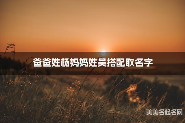 爸爸姓杨妈妈姓吴搭配取名字