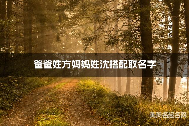 爸爸姓方妈妈姓沈搭配取名字