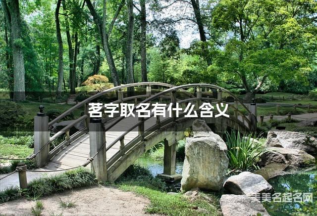 茗字取名有什么含义,用来女生取名字 茗字取名有什么含义,用来女生取名字