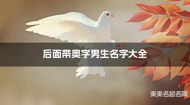 后面带奥字男生名字大全 后面带奥字男生名字大全