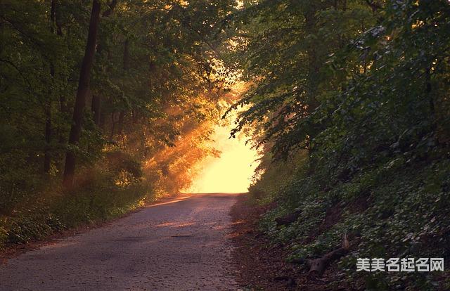 女孩取名:有创意的带淑字女孩名字大全 女孩取名:有创意的带淑字女孩名字大全