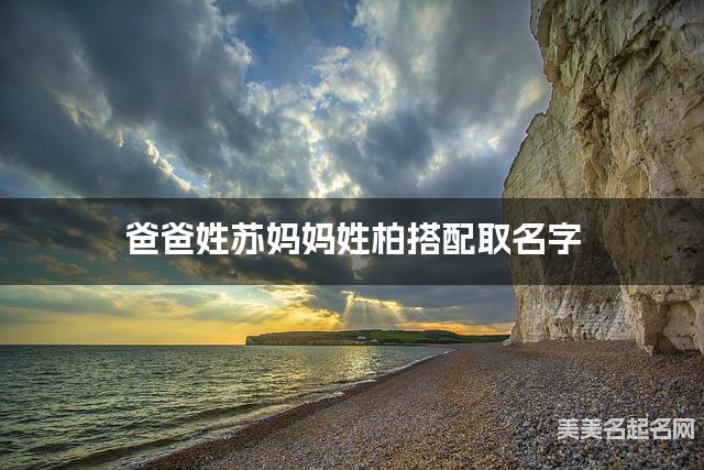 爸爸姓苏妈妈姓柏搭配取名字