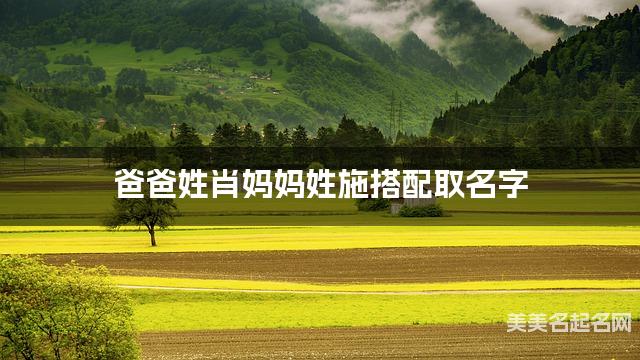 爸爸姓肖妈妈姓施搭配取名字