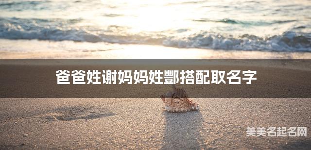 爸爸姓谢妈妈姓酆搭配取名字