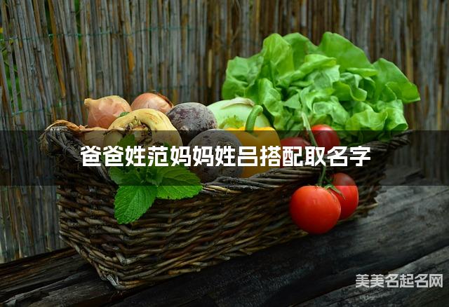 爸爸姓范妈妈姓吕搭配取名字