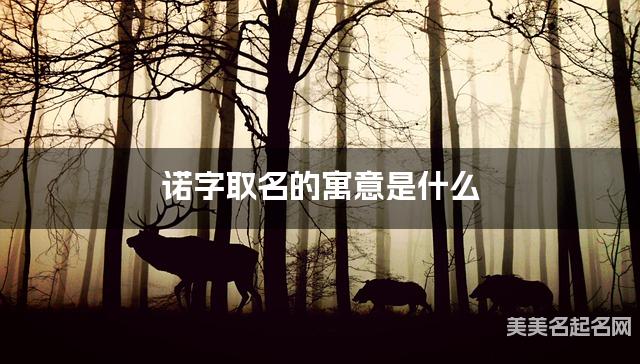 诺字取名的寓意是什么 诺字取名的寓意是什么