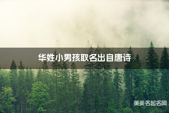 起名字免费 华姓小男孩取名出自唐诗
