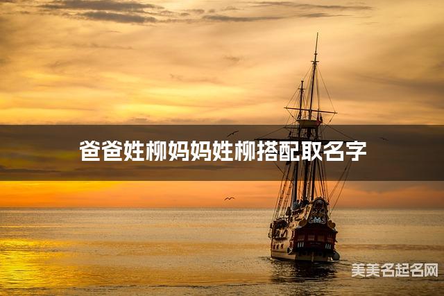 爸爸姓柳妈妈姓柳搭配取名字