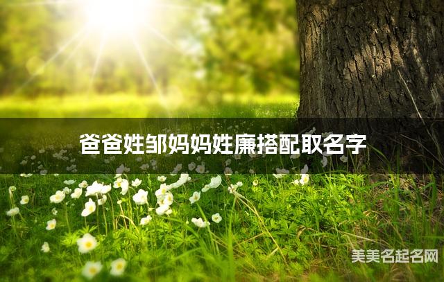 爸爸姓邹妈妈姓廉搭配取名字