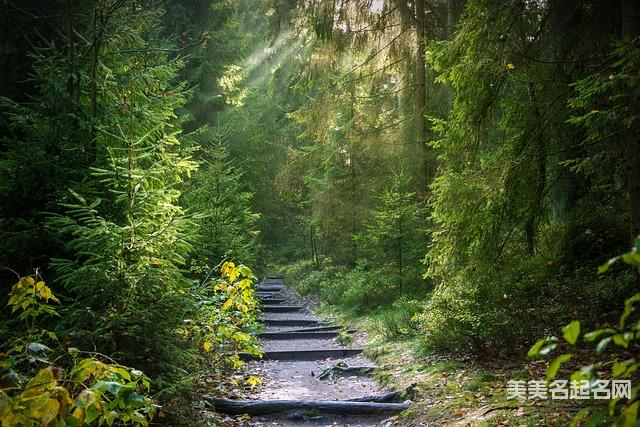 男生起名冉配个什么字简单顺口好听 男生起名冉配个什么字简单顺口好听