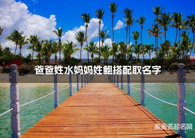 爸爸姓水妈妈姓鲍搭配取名字
