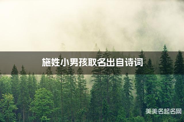 国学大师取名 施姓小男孩取名出自诗词