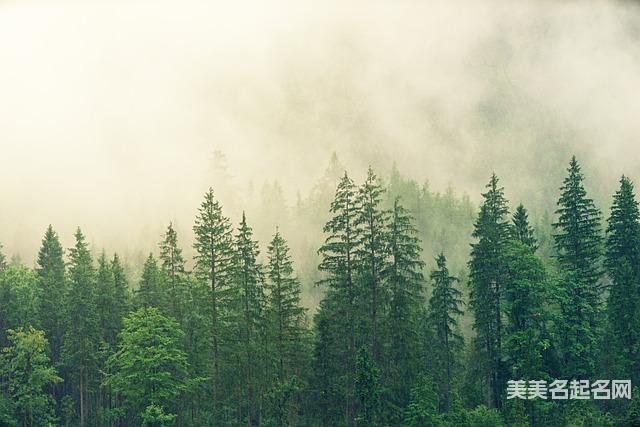 女孩取名:寓意不错的带颖字女孩名字大全 女孩取名:寓意不错的带颖字女孩名字大全