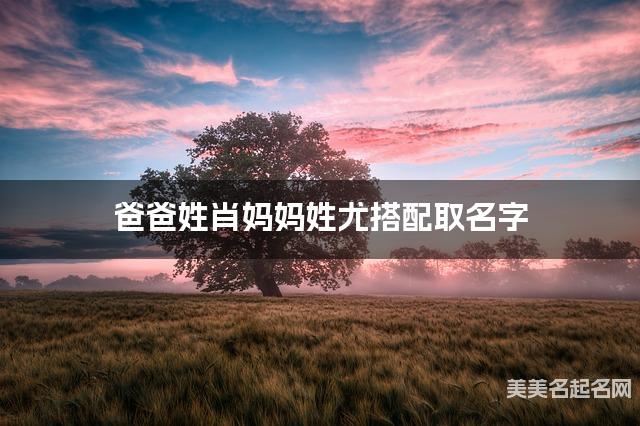 爸爸姓肖妈妈姓尤搭配取名字