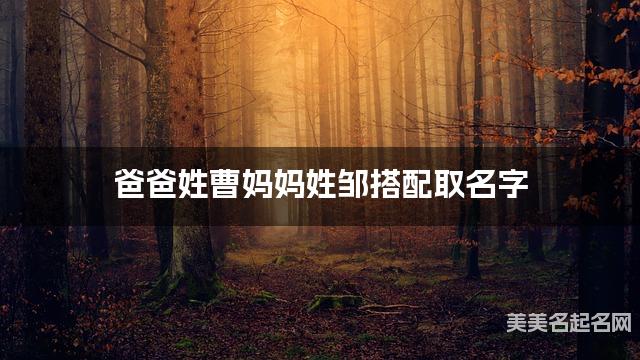 爸爸姓曹妈妈姓邹搭配取名字