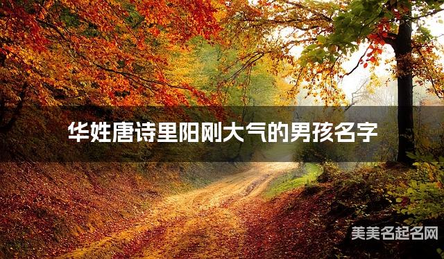 取名字大全免费查询 华姓唐诗里阳刚大气的男孩名字 取名字大全免费查询 华姓唐诗里阳刚大气的男孩名字