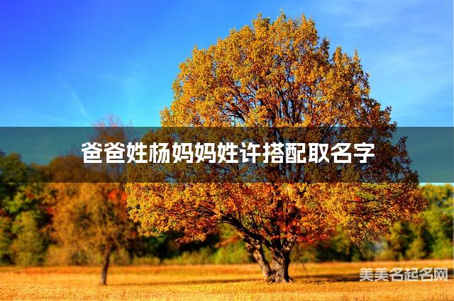 爸爸姓杨妈妈姓许搭配取名字