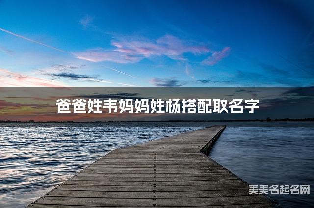 爸爸姓韦妈妈姓杨搭配取名字