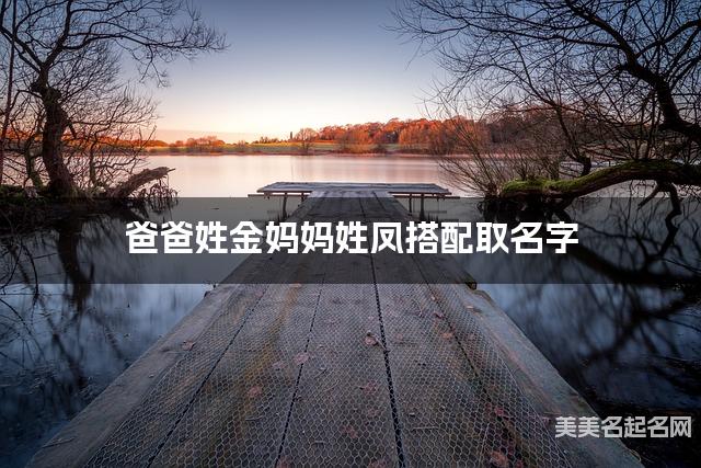 爸爸姓金妈妈姓凤搭配取名字