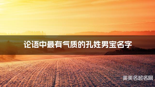 论语中最有气质的孔姓男宝名字 论语中最有气质的孔姓男宝名字