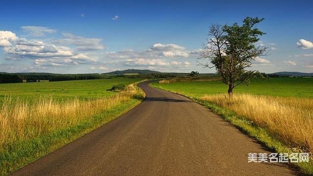 如何用诗经给女孩起个简单干净好听的名字 如何用诗经给女孩起个简单干净好听的名字