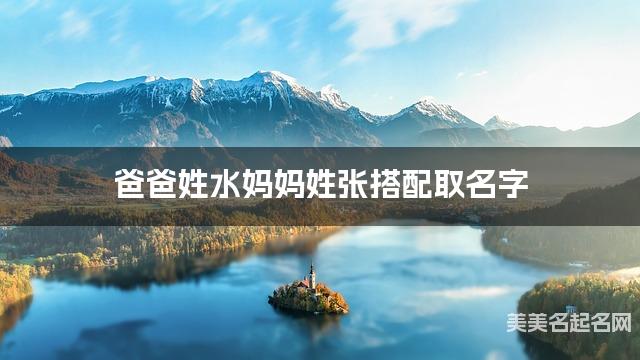爸爸姓水妈妈姓张搭配取名字