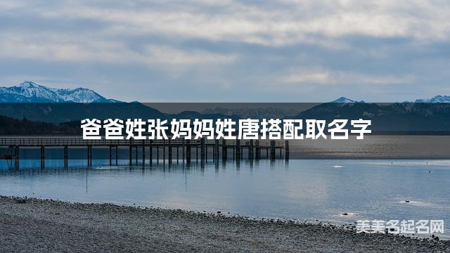 爸爸姓张妈妈姓唐搭配取名字