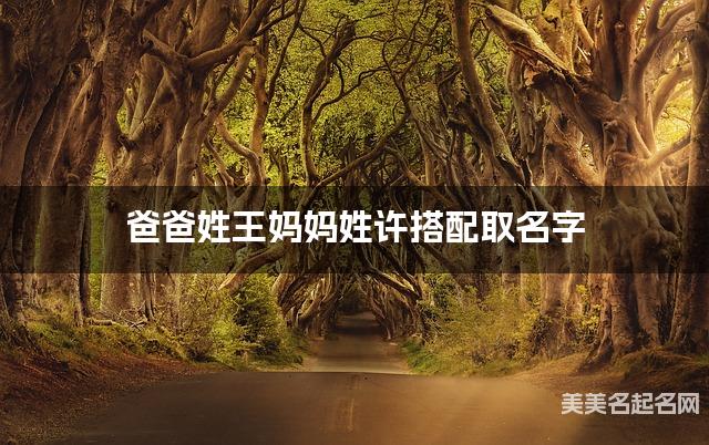 爸爸姓王妈妈姓许搭配取名字