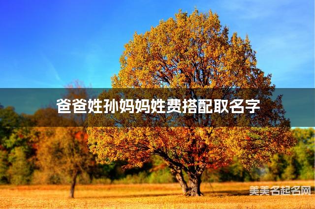 爸爸姓孙妈妈姓费搭配取名字