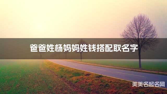 爸爸姓杨妈妈姓钱搭配取名字