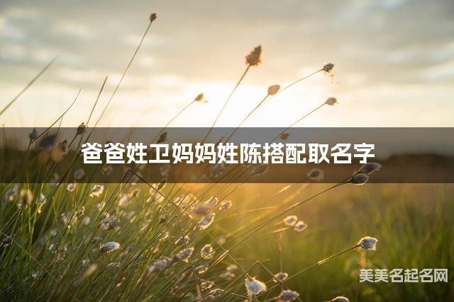 爸爸姓卫妈妈姓陈搭配取名字