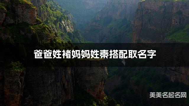 爸爸姓褚妈妈姓秦搭配取名字