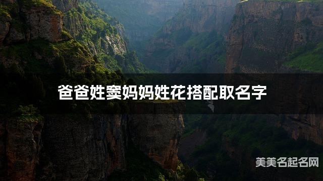 爸爸姓窦妈妈姓花搭配取名字