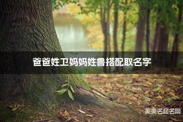 爸爸姓卫妈妈姓鲁搭配取名字