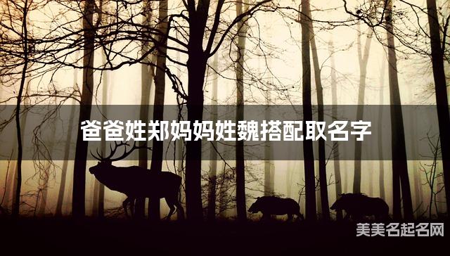 爸爸姓郑妈妈姓魏搭配取名字