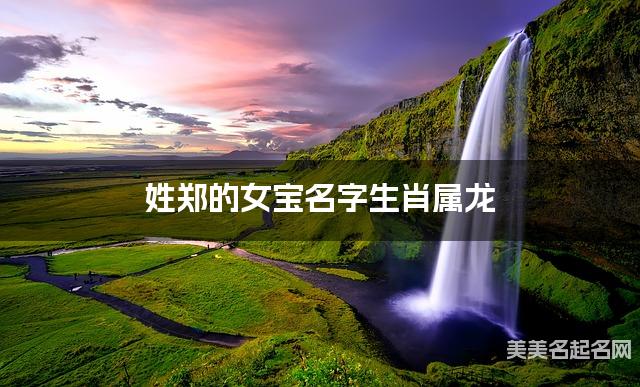 姓郑的女宝名字生肖属龙 有创意的宝宝名字大全 姓郑的女宝名字生肖属龙 有创意的宝宝名字大全