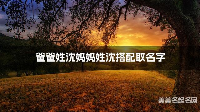 爸爸姓沈妈妈姓沈搭配取名字