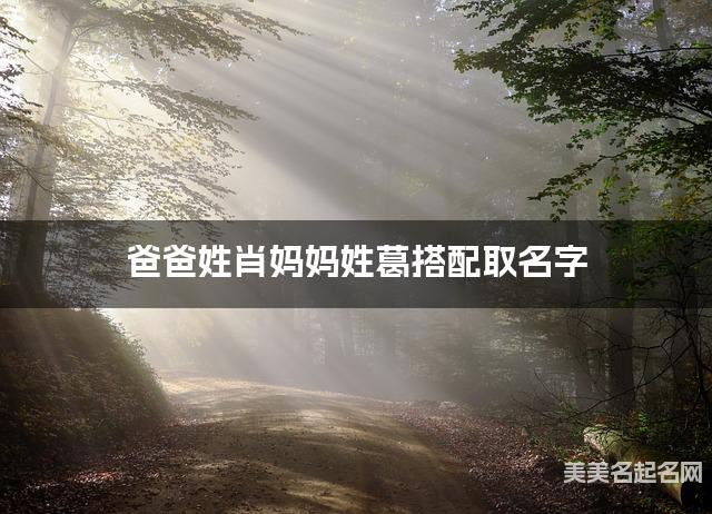 爸爸姓肖妈妈姓葛搭配取名字