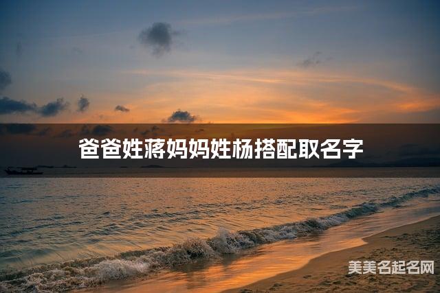爸爸姓蒋妈妈姓杨搭配取名字