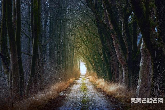 男宝宝起名芮配个什么字独一无二与众不同 男宝宝起名芮配个什么字独一无二与众不同