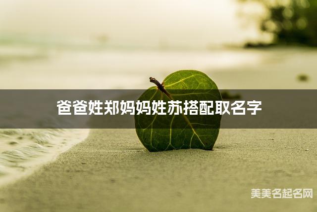 爸爸姓郑妈妈姓苏搭配取名字