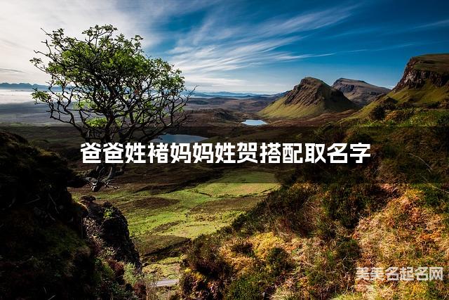 爸爸姓褚妈妈姓贺搭配取名字