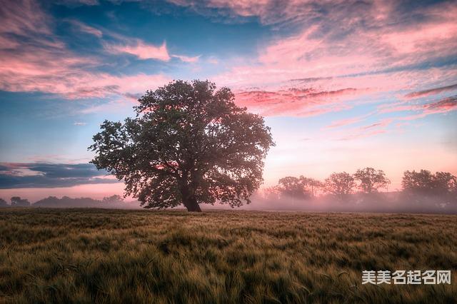 名字带石字旁好不好?看看这些吉祥好听的石字旁男宝宝名字 名字带石字旁好不好?看看这些吉祥好听的石字旁男宝宝名字